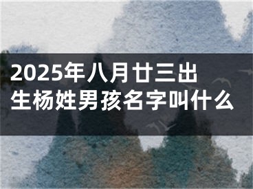 2025年八月廿三出生杨姓男孩名字叫什么