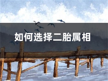 如何选择二胎属相