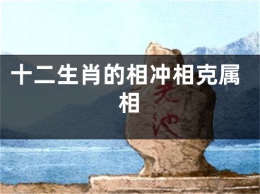十二生肖的相冲相克属相
