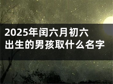 2025年闰六月初六出生的男孩取什么名字