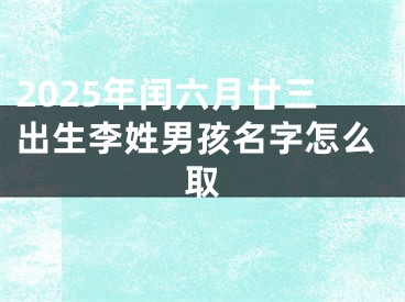 2025年闰六月廿三出生李姓男孩名字怎么取