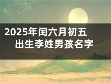 2025年闰六月初五出生李姓男孩名字