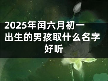 2025年闰六月初一出生的男孩取什么名字好听