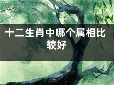 十二生肖中哪个属相比较好