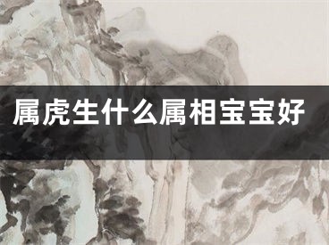 属虎生什么属相宝宝好