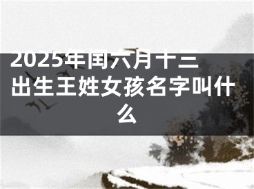 2025年闰六月十三出生王姓女孩名字叫什么
