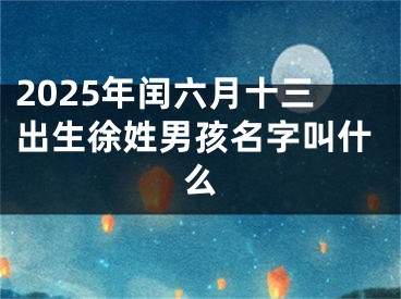 2025年闰六月十三出生徐姓男孩名字叫什么