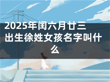 2025年闰六月廿三出生徐姓女孩名字叫什么