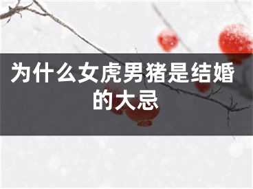 为什么女虎男猪是结婚的大忌