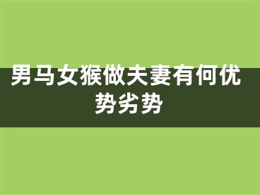 男马女猴做夫妻有何优势劣势