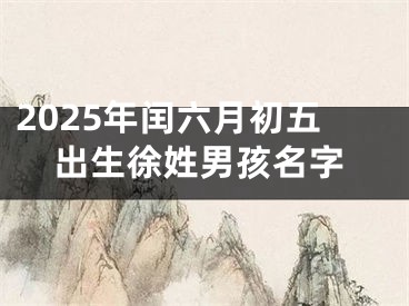 2025年闰六月初五出生徐姓男孩名字