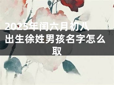 2025年闰六月初八出生徐姓男孩名字怎么取