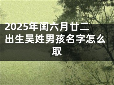 2025年闰六月廿二出生吴姓男孩名字怎么取