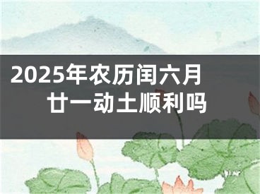 2025年农历闰六月廿一动土顺利吗