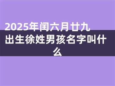 2025年闰六月廿九出生徐姓男孩名字叫什么