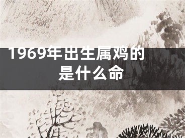 1969年出生属鸡的是什么命