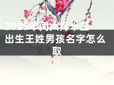 2025年闰六月十三出生王姓男孩名字怎么取