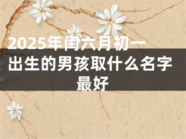 2025年闰六月初一出生的男孩取什么名字最好