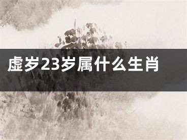 虚岁23岁属什么生肖