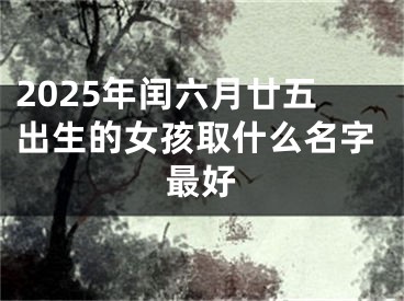 2025年闰六月廿五出生的女孩取什么名字最好