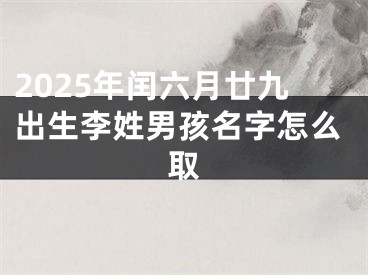 2025年闰六月廿九出生李姓男孩名字怎么取
