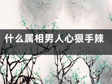 什么属相男人心狠手辣