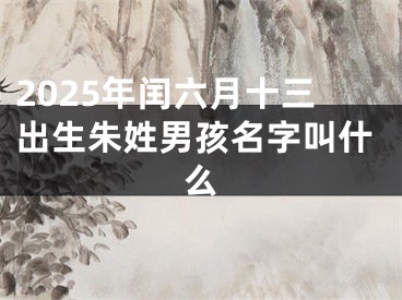 2025年闰六月十三出生朱姓男孩名字叫什么