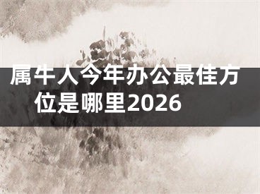 属牛人今年办公最佳方位是哪里2026
