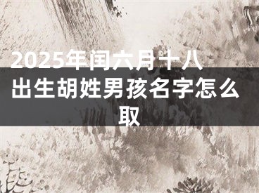 2025年闰六月十八出生胡姓男孩名字怎么取