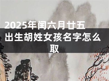 2025年闰六月廿五出生胡姓女孩名字怎么取