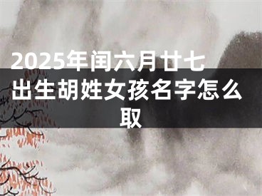 2025年闰六月廿七出生胡姓女孩名字怎么取