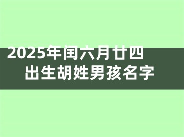 2025年闰六月廿四出生胡姓男孩名字