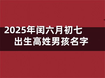 2025年闰六月初七出生高姓男孩名字
