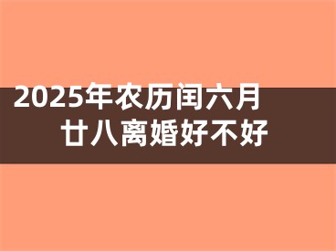 2025年农历闰六月廿八离婚好不好