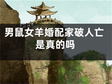 男鼠女羊婚配家破人亡是真的吗