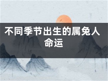 不同季节出生的属兔人命运