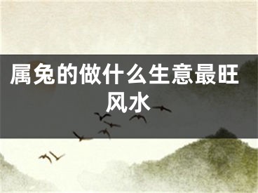 属兔的做什么生意最旺风水
