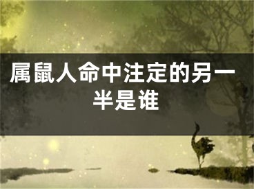 属鼠人命中注定的另一半是谁