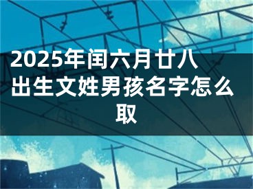 2025年闰六月廿八出生文姓男孩名字怎么取