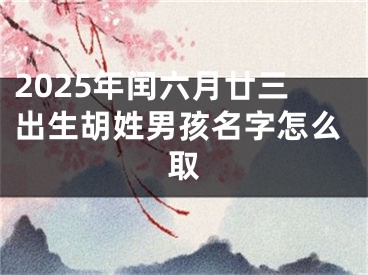 2025年闰六月廿三出生胡姓男孩名字怎么取