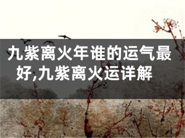 九紫离火年谁的运气最好,九紫离火运详解