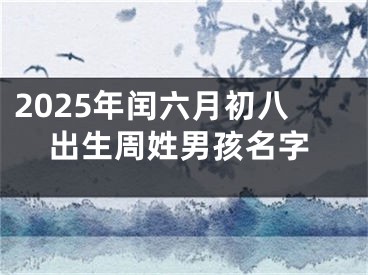 2025年闰六月初八出生周姓男孩名字