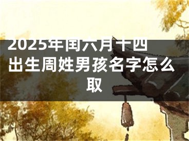 2025年闰六月十四出生周姓男孩名字怎么取