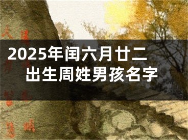 2025年闰六月廿二出生周姓男孩名字