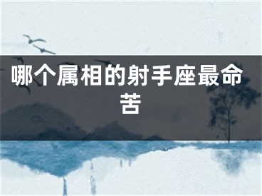 哪个属相的射手座最命苦