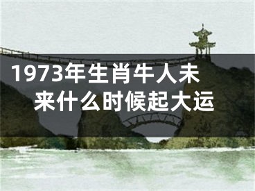 1973年生肖牛人未来什么时候起大运