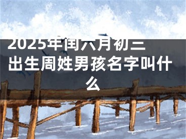 2025年闰六月初三出生周姓男孩名字叫什么