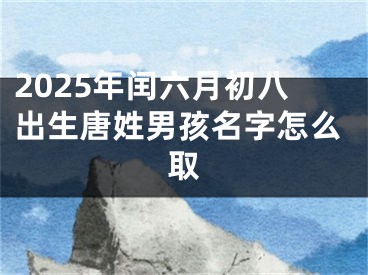 2025年闰六月初八出生唐姓男孩名字怎么取