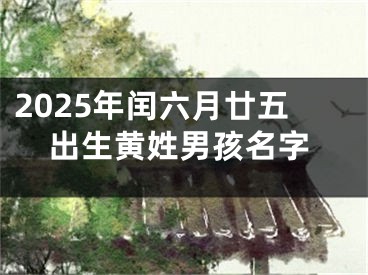 2025年闰六月廿五出生黄姓男孩名字