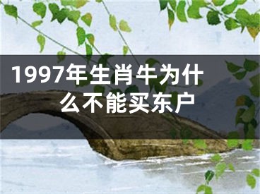 1997年生肖牛为什么不能买东户